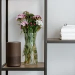 Amazon Vine Login: Complete Guide, Features, Uses, and Alternatives