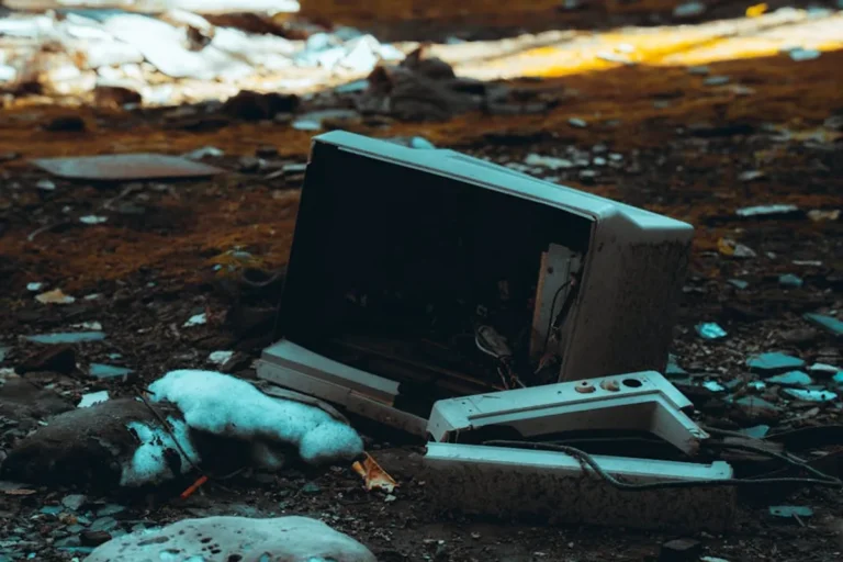 How to Remove Unwanted Browser Extensions