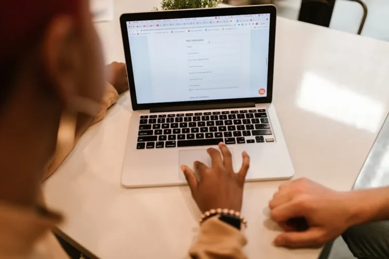 Why WordPress users Are Starting to Notice Searches Around lapzoo.com